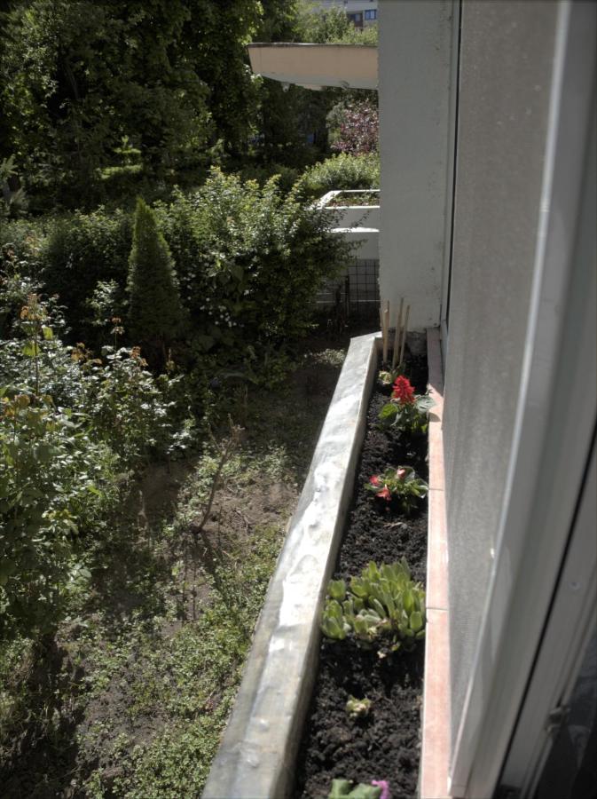 Anna Studio Brasov Exterior photo
